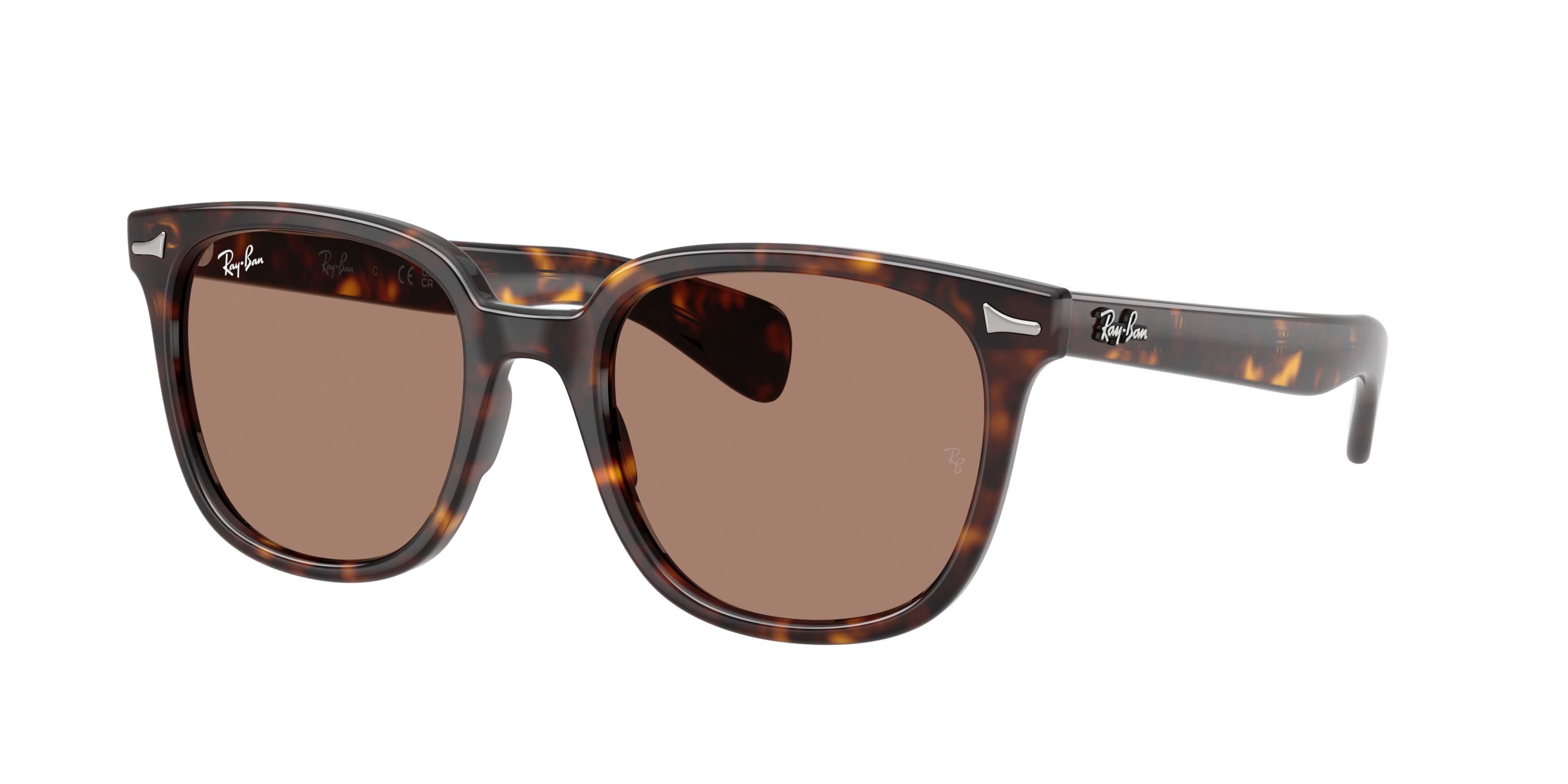Ray-Ban Brunel II Light Violet Sunglasses - Havana - BROWN/PURPLE